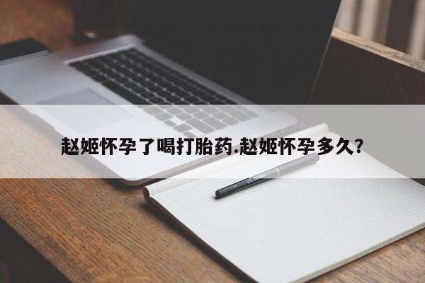 流产药货到付款赵姬怀孕了喝打胎药.赵姬怀孕多久？